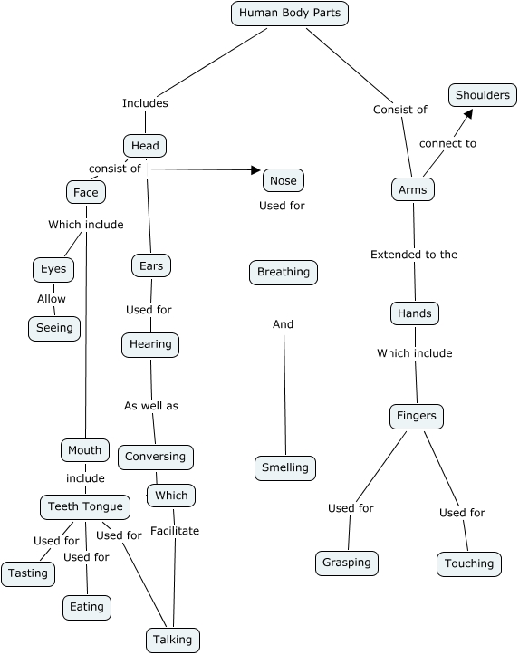 Human Body Parts - Whatare the human body parts?